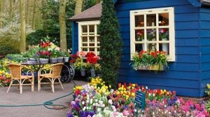 Garden sheds ideas colorful flowers outdoor furniture