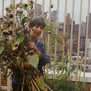 Gardener working a rooftop garden