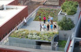 Green Roof