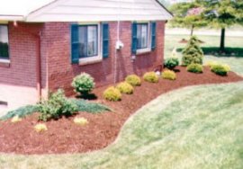 Landscape Design Tips