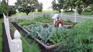 landscape ideas vegetable garden wooden raised beds plants white fence