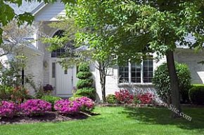 landscaping planting ideas