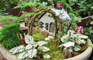 lovely fairy garden pictures #1: Miniature Fairy Garden Ideas
