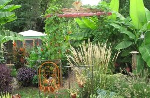 Lovely Front Yard Garden #2: Tropical Garden Design Ideas