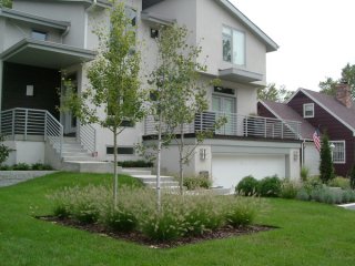 Low plants around this contemporary house emphasize its almost sculptural style. Instead of traditional foundation plantings, the designer installed a patch of ornamental grasses and birch trees.