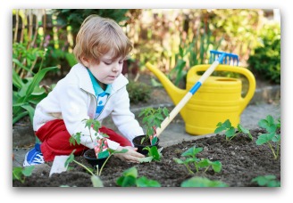 making a vegetable garden with your kids