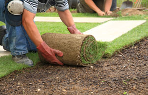 Online landscaping technology design