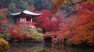 plants for japanese garden japanese garden autumn leaf beautiful bridge japanese garden bridge