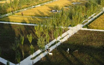 Shengyang Jianzhu University campus; credit: Turenscapes