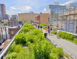 The Highline is a great example of a planting scheme increasing biodiversity in an urban area; credit: shutterstock.com