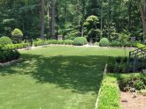 Backyard lawns