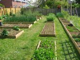 Backyard Vegetable Garden Design