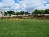 Best Artificial Grass for Lawns