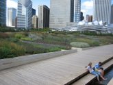 Chicago Landscape Architecture