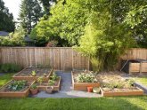 DIY Backyard Landscape Design