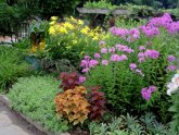 Flower garden ideas for small Yards