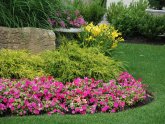How to Design flower beds?