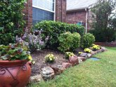 Inexpensive Landscaping ideas for front yard