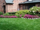 Landscaping ideas for front Yards