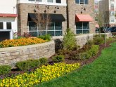 Landscaping in Maryland