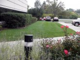 Landscaping Maintenance Services