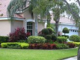 Landscaping with trees ideas