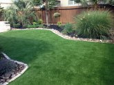 Real looking Artificial Grass