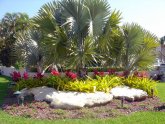 South Florida Landscape Design