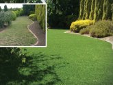 Synthetic lawn Grass