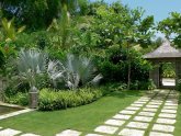 Tropical Landscape Design ideas