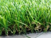 Turf or Artificial Grass