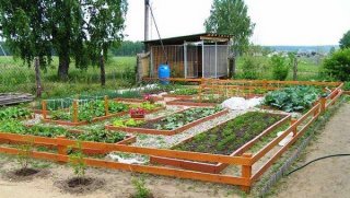 vegetable garden design ideas garden house low fence