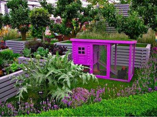 vegetable garden ideas backyard raised beds dog house