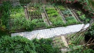 vegetable garden ideas small garden plans garden path