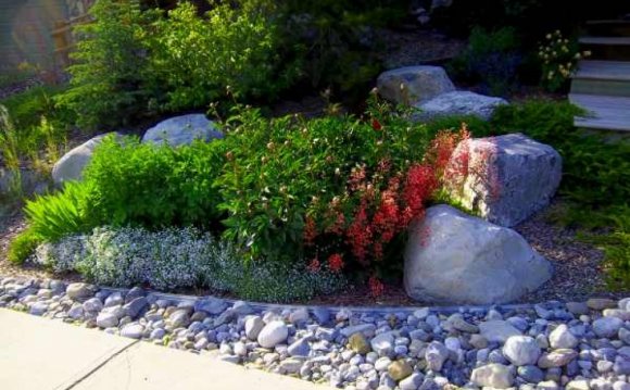 Very small front yard Landscaping ideas