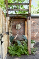 wall fountain with gates, colocasia, ferns