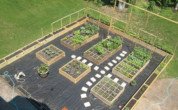 Small backyard garden plans