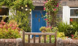 With clever planting a small front garden can shine