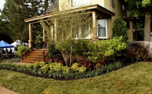 Pictures of front lawn Landscaping